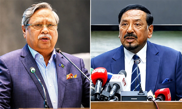 রাষ্ট্রপতির পদত্যাগ, ভারপ্রাপ্ত রাষ্ট্রপতি হাফিজ উদ্দিন আহমদ