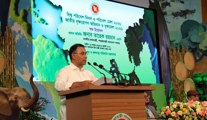 সুন্দরভাবে বেঁচে থাকার জন্যই সবুজায়ন জরুরি